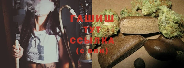 a pvp Новозыбков