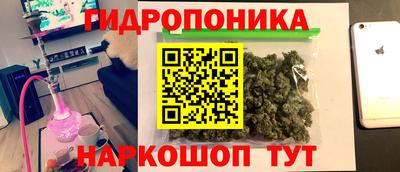 гидра Заволжье