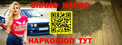 гидра Заволжье