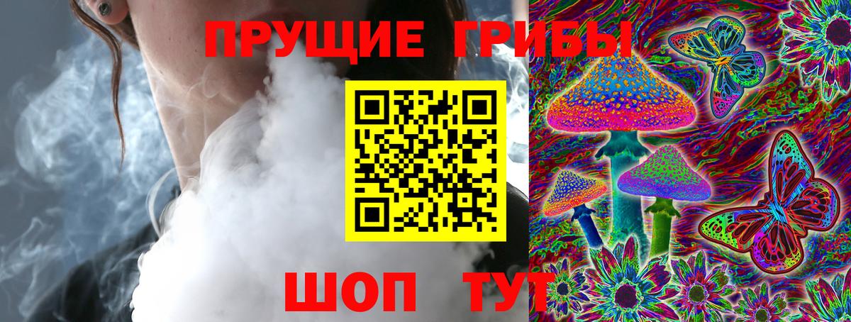 Галлюциногенные грибы Psilocybine cubensis Каменск-Шахтинский