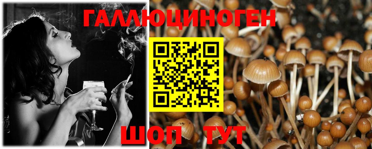 Каменск-Шахтинский  Галлюциногенные грибы Psilocybe  Вход с VPN 
